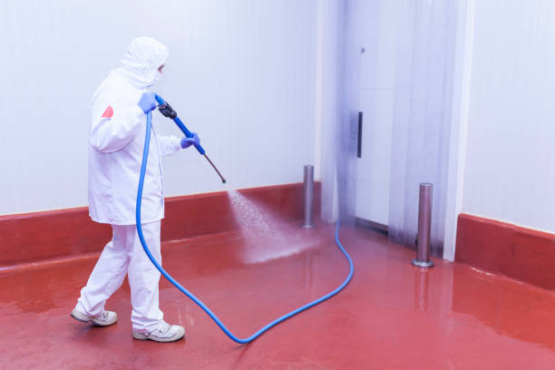 Best Playground Equipment Cleaning  in Woodlake, CA