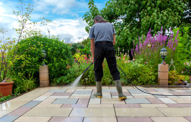 Best Restaurant Pressure Washing  in Woodlake, CA